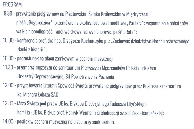 Międzyrzecz 2021 plan