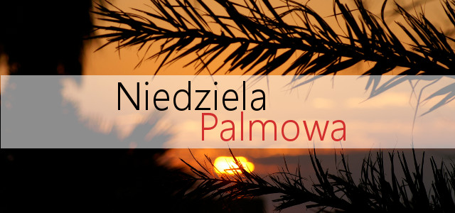 Niedziela Palnowa 2017